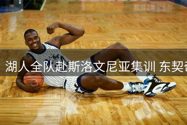湖人全队赴斯洛文尼亚集训 东契奇做东组织团队聚餐