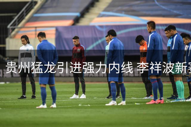 贵州猛龙引进强力内线 李祥波新赛季披挂上阵